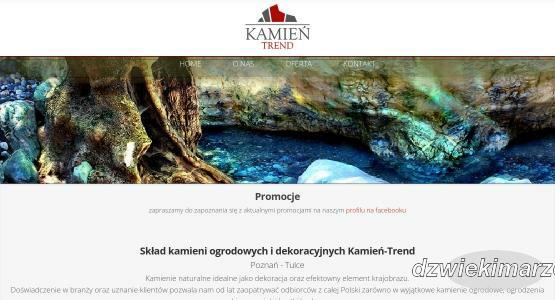 kamien-trend