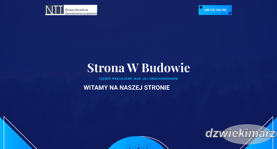 ntt-grupa-doradcza-sp-z-o-o
